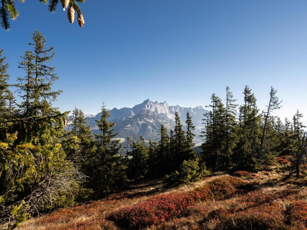 Schattbergblick Заалбах-Хинтерглем Екстериор снимка